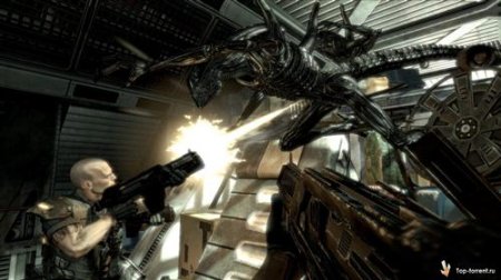 Aliens vs. Predator [Update 3]  (2010/RUS/RePack  Spieler)