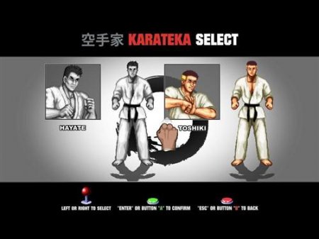 Karate Master: Knock Down Blow (2011) ENG