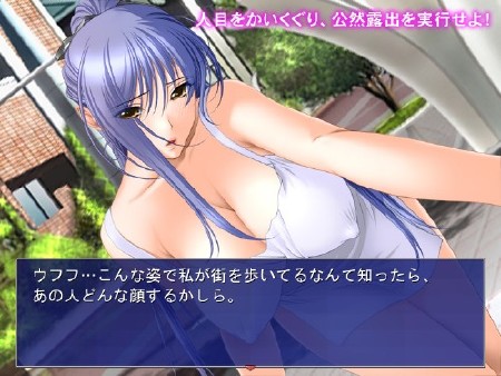 Public exposure / Kouzen roshutsu RPG (2012/JP/PC)