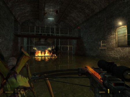 Half-Life 2: Deathmatch (v.1.0.0.34 + Autoupdate) (2012/RUS/ENG/PC)